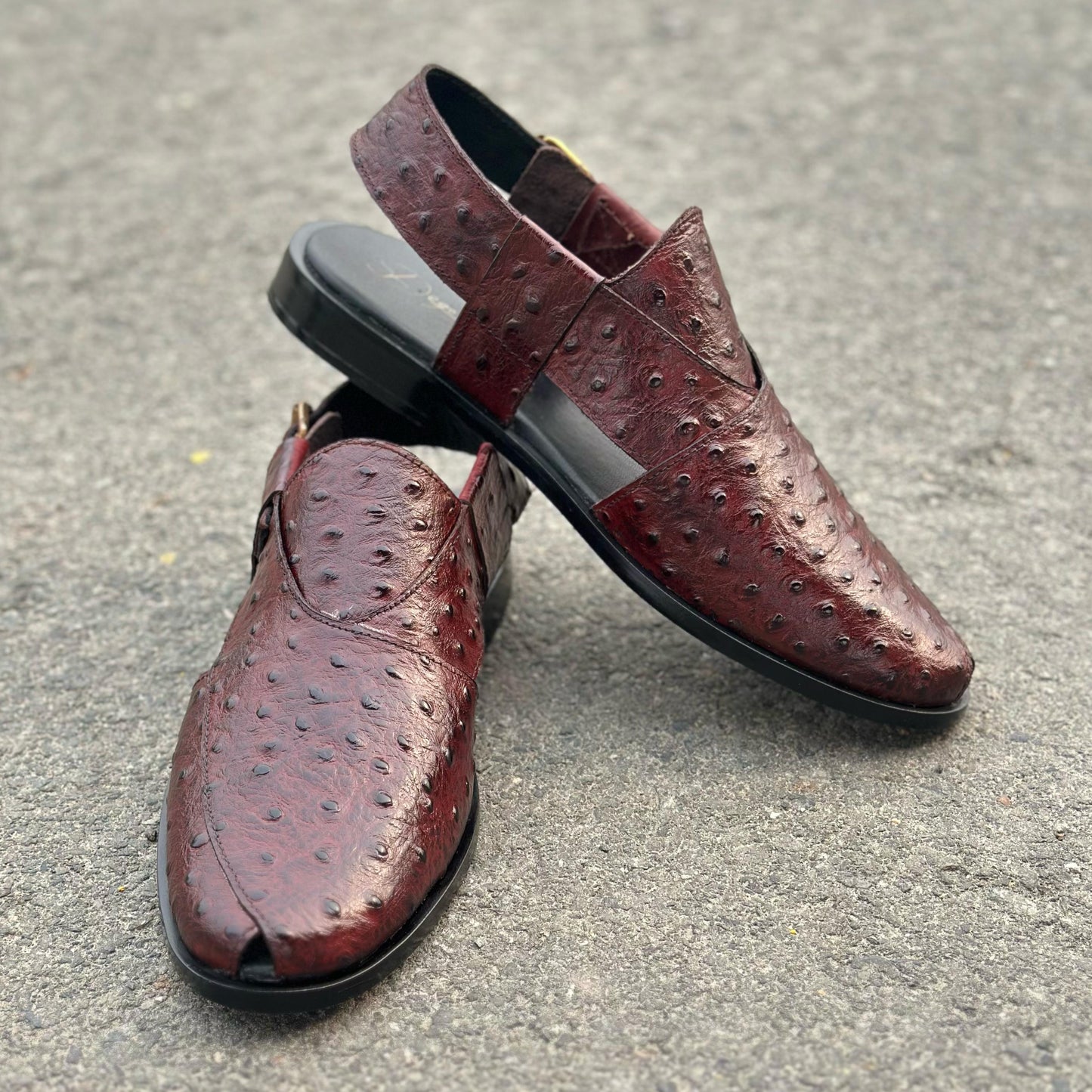 THE BREWS BROWN - 2589