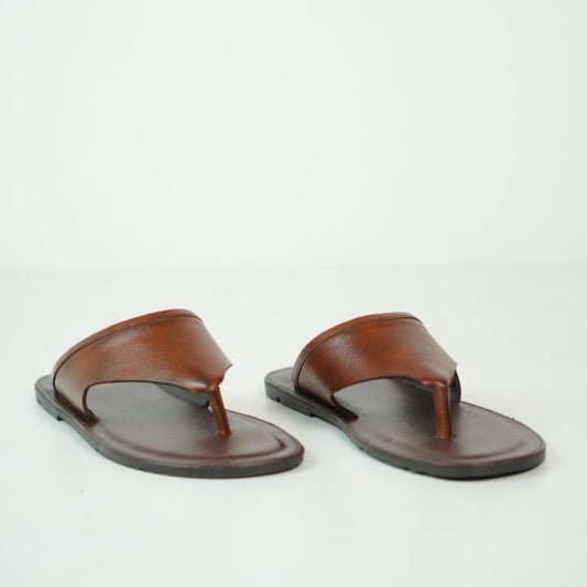 THE SHADED BROWN - 2479